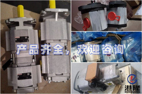 ROQUET齒輪泵